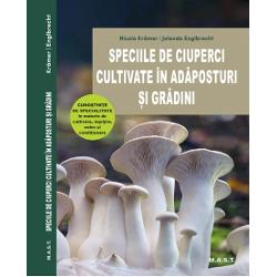 Speciile de ciuperci cultivate in adaposturi si gradini