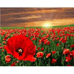 Set pictura pe numere panza Camp de maci rosii in amurg 40x50 cmDimensiuni 40 x 50 x 15 cmMaterial panza 70 poliester  30 bumbac vopseluri acriliceUrmareste pasii simpli ai pictarii pe numere si bucura-te de o experienta placuta Porneste intr-o noua aventura si creaza si tu acest tablou in culori calde cu titlul Camp de maci rosii in amurg 40x50 cm cu ajutorul materialelor incluse in acest set de pictura pe numere pentru adulti Totul este deja setat 