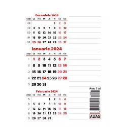 Calendar cu planner triptic format 105x15cm 13 file magnetic 