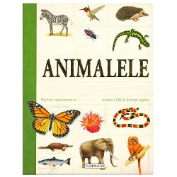 O privire cuprinzatoare in lumea animalelor cu peste 1000 de ilustratii superbe Enciclopedia de fata sursa valoroasa de informatii atat pentru scolari cat si pentru adulti se remarca prin forma succinta clara usor de citit si plina de ilustratii deosebite