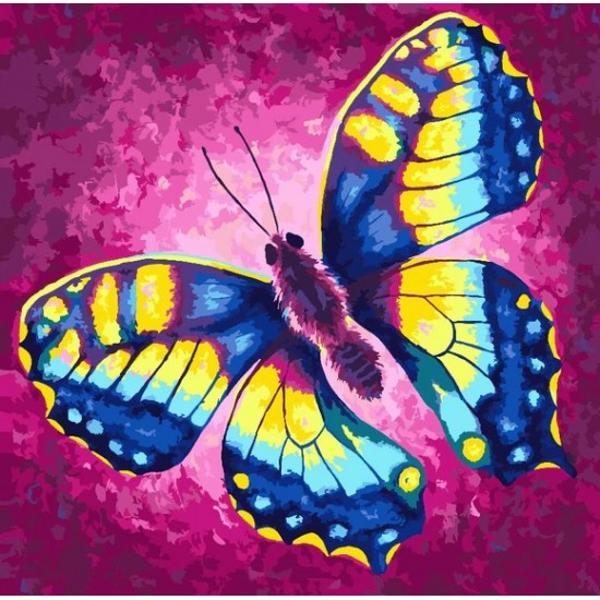 Set creativ de pictat Pictura pe numere Chage - Rachel Froud 30x30cm Craft Buddy