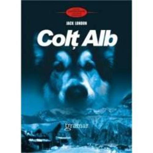 Colt Alb este un roman de aventuri scris in 1906 de scriitorul american Jack London Naratiunea urmareste viata lupului Colt Alb de la nasterea sa din apropierea unui sat indian pana la mutarea sa in San Francisco si nasterea propriilor sai pui