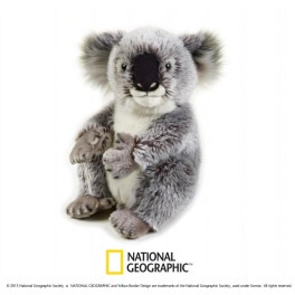 Jucarie din plus National Geografic Koala 26 cmDescopera lumea animalelor alaturi de National GeographicCopii iubesc acest animal special cu blanita fina si fetisoara simpaticap 