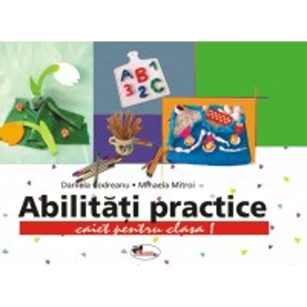 Abilitati practice I   12 planse -A698