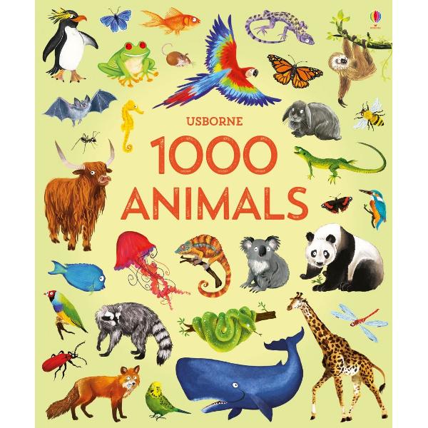 A beautifully illustrated reference book filled with 1000 amazing animals from lizards and llamas to gorillas great white sharks and much more Every picture is labelled with its name and there’s an index of all the names at the back of the book A wonderful way to discover the wildlife and ecology of different habitats