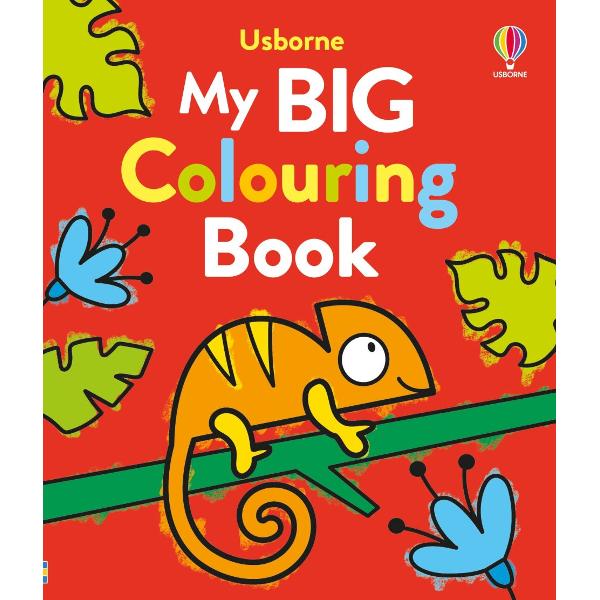 From animals and trucks to superheroes mermaids and unicorns young children can have hours of fun filling in all kinds of pictures in this first colouring book It contains over 90 charming yet simple outlines with large areas to colour helping children develop mark-making and pen-control skills 