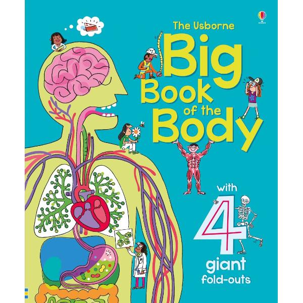 Open up the huge fold-out pages of this vividly illustrated book to discover the remarkable ways the human body works Explore a giant skeleton learn how your heart pumps blood find out whats inside your head and see what happens to the food you eat A fun and engaging introduction to a key UK National Curriculum subject Its bold bright design will inspire and delight young children 