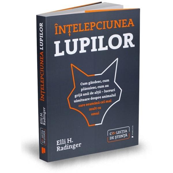 Niciun animal nu seam&259;n&259; atât de mult cu omul în privin&539;a comportamentului social ca lupul Elli H Radinger specialista german&259; num&259;rul unu în lupi a v&259;zut de mai multe ori lupi r&259;ni&539;i la vân&259;toare sau în lupt&259; Familia de lupi se îngrijea mereu de ace&537;tia Dac&259; plecau la vân&259;toare unul r&259;mânea cu cel r&259;nit Când se întorceau îi aduceau hran&259; 