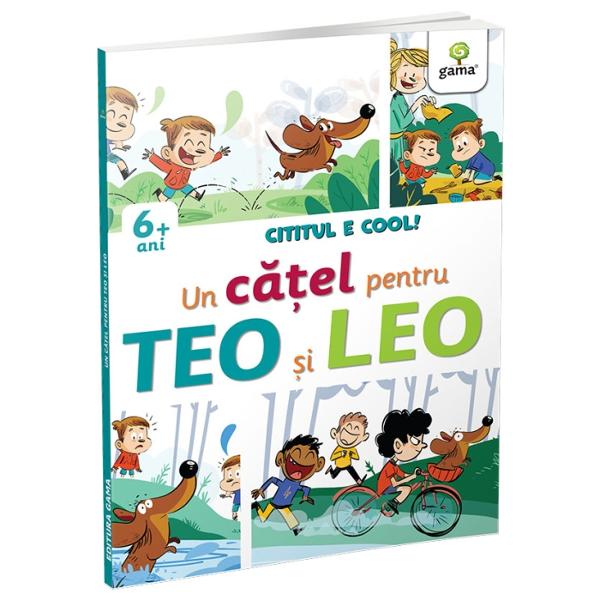 Este ziua de na&537;tere a gemenilor Teo &537;i Leo iar mama lor a organizat o petrecere Dar gemenii primesc un singur cadou Ce poate fi Ei bine e un &537;oricar pe nume OttoTeo &537;i Leo îl scot pe Otto la plimbare pe malul râului Dar la un moment dat Otto cade în ap&259; O nu Ni&537;te b&259;ie&539;i mai mari îl salveaz&259; dar apoi îl iau cu ei ce bullies Oare cum vor reu&537;i Teo &537;i Leo s&259;-l recupereze