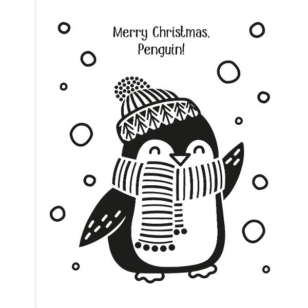 Filled with simple stylish images designed to appeal to young children Just brush water over the bold black and white designs to watch a carol-singing mouse a well-filled stocking and even Santa himself burst into colour 