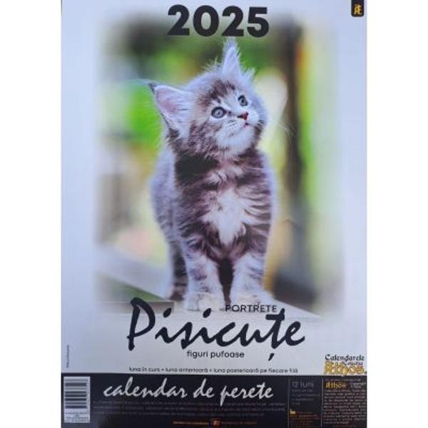 Calendar perete 13 file spir&259; metalic&259; dubl&259; &537;i ag&259;&539;&259;toareDimensiune 3347 cm