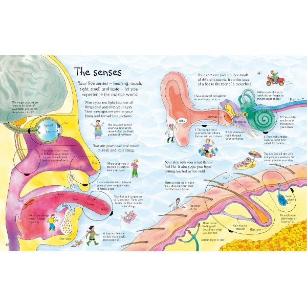 Fabulous flap book that reveals the inner workings of the human bodyBright original colour illustrations and diagrams display all the major organs of the human body and are accompanied by witty clear and informative text Contains over fifty embedded flaps that children can lift to reveal extra detailWritten with expert advice from Dr Zoe Fritz a Consultant Physician and Director of Studies in Clinical Medicine at Cambridge University