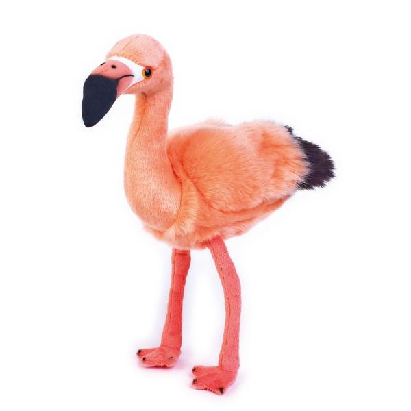 Completeaza colectia ta de  pasari cu acest minunat Flamingo din plus cu blanita moale si pufoasa Copii pot afla mai multe lucruri interesante despre aceasta pasareFlamingo este un gen de pasari din familia PhoenicopteridaeSuprafata este lavabilaDimensiune cm 36 cmVarsta recomandata 3