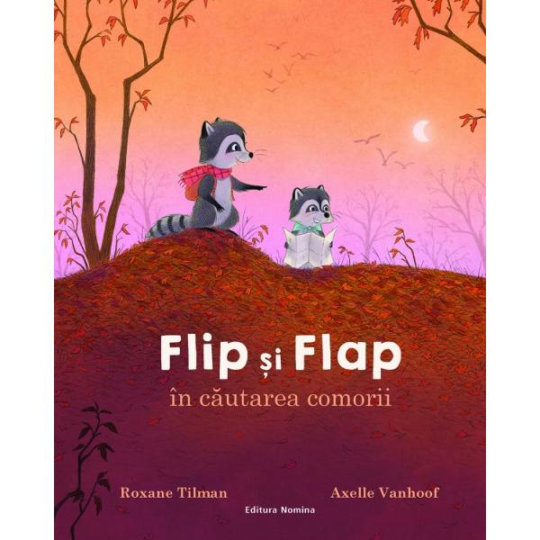 Flip si Flap in cautarea comorii