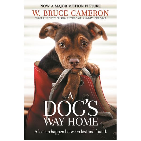 NOW A MAJOR FILM STARRING ASHLEY JUDD From W Bruce Cameron the author of A Dog’s Purpose the number one New York Times bestseller and major film comes a completely unforgettable adventure as one devoted dog makes her way home When Lucas Ray rescued his puppy Bella he knew his life would change forever Smuggling her into his building isnt easy particularly with his prying neighbours and Lucas decides to risk taking her to work 