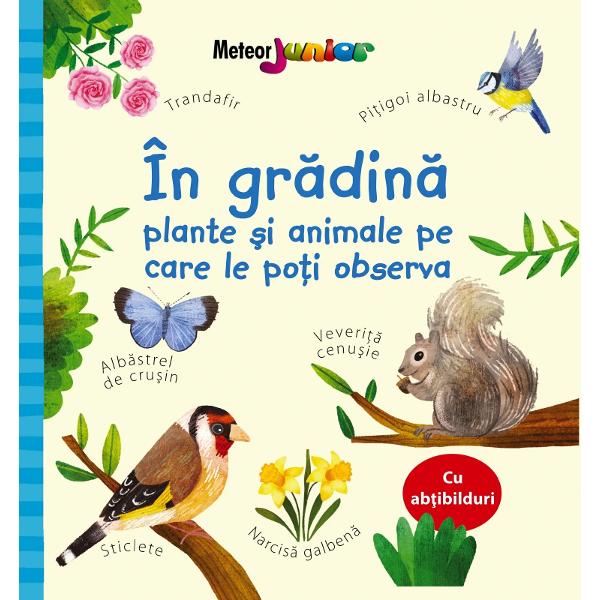 Aceasta carticica frumos ilustrata te va ajuta sa identifici animale si plante pe care le-ai putea intalni in gradina Foloseste abtibildurile si tabelul de la sfarsit pentru a tine socoteala celor pe care le-ai observat deja First published in the UK by Usborne Publishing Ltd