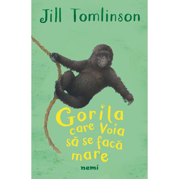 Pongo este un pui de gorilaii place la nebunie sa se joacese leagana din liana in liana&537;i urca &537;i coboara din copaciPongo este un pui de gorila foarte jucau&537;Traie&537;te in 