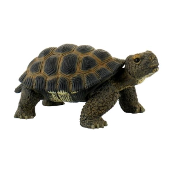 Figurina Bullyland pictata manual si realizata dintr-un material plastic care nu contine PVCDimensiuni ‎13 x 78 x 599 cmVarsta recomandata 3 aniAvertismente Contraindicat copiilor mai mici de 3 ani A se folosi sub directa supraveghere a unei persoane adulte