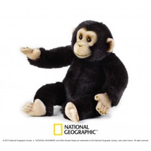 Jucarie din plus National Geografic Cimpanzeu 36 cmDescopera lumea animalelor alaturi de National GeographicCimpanzeii sunt o specie de maimute pe care o intalnim in padurile tropicale in regiunile impadurite si preriile Africane Aceste maimute sunt foarte inteligente si au 