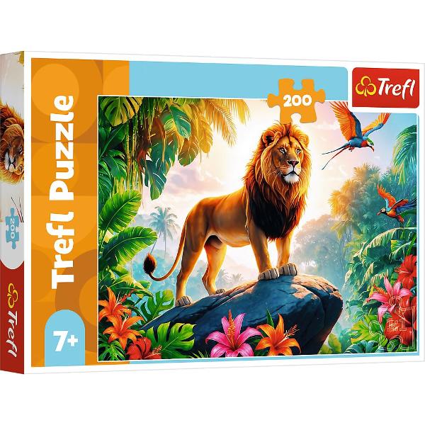 Un puzzle de calitate trebuie sa fie relaxant si distractiv Aranjarea unui puzzle constitue atat pentru copii cat si pentru adulti este o modalitate deosebita de dezvoltare a indemanarii spiritului de observatie si a concentrarii Trefl este o companie poloneza cu sediul central in regiunea Pomorze Incepand din 1985 compania a inceput sa produca puzzle-uri dezvolatand ulterior si segmentul de carti de joc si jocuri de societate In prezent Trefl este lider in Polonia si plina expansiune in 