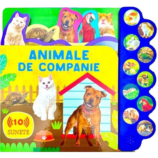 Animale de companie editura Flamingo GD 2025 