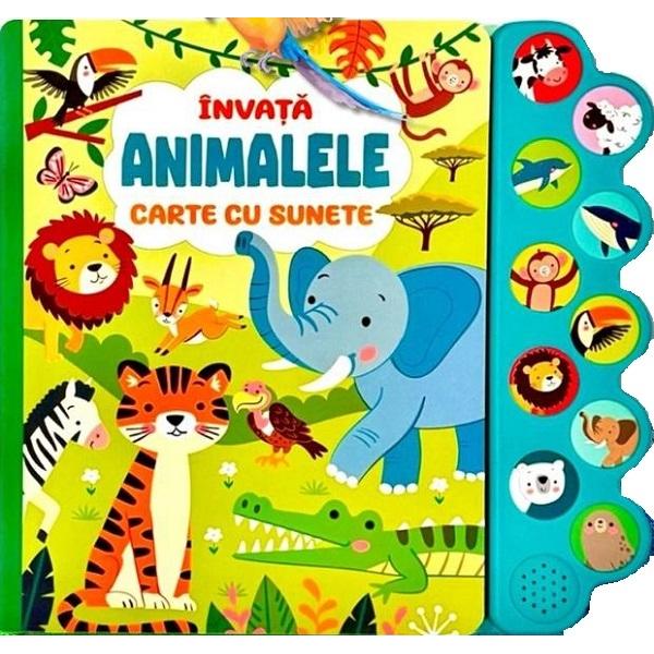 Porneste intr-o aventura sonora prin lumea animalelor Cartea cu sunete Invata animalele ii ajuta pe cei mici sa descopere sa recunoasca si sa invete numele si sunetele celor mai cunoscute animale Fiecare pagina prezinta un animal prietenos iar prin apasarea butonului corespunzator copilul poate auzi sunetul specific acestuia Perfecta pentru copiii intre 1 si 4 ani cartea combina joaca si invatarea intr-un mod natural si captivant dezvoltand 