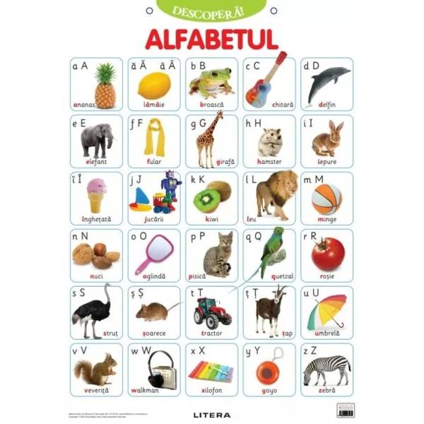 Aceast&259; colec&539;ie de PLAN&536;E COLOR cu dimensiuni de 48x68 cm este instrumentul ideal pentru îmbog&259;&539;irea &537;i fixarea cuno&537;tin&539;elor dobândite la gr&259;dini&539;&259; sau la &537;coal&259; Plan&537;ele pot decora atât pere&539;ii camerei copiilor cât &537;i pe cei ai s&259;lii de clas&259;