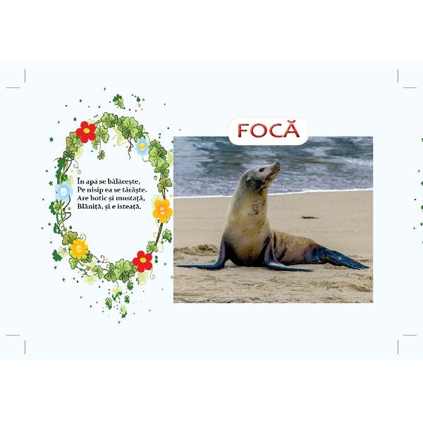 Carticica cartonata PRIMELE GHICITORI CU ANIMALE  MARINE este o introducere a copiilor in lumea animalelor prin imagini reale viu colorate insotite de ghicitori frumoase care le vor dezvolta copiilor curiozitatea si gandireaCartea este cartonat&259; plastifiat&259; &537;i lucioas&259; cu marginile rotunjite