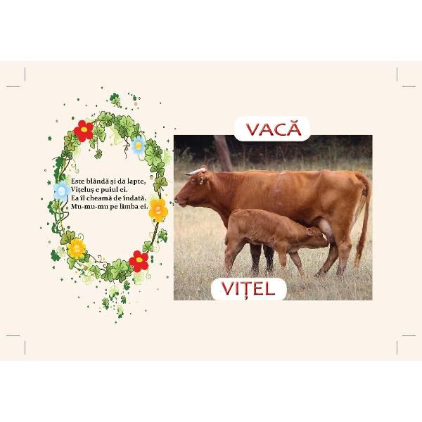 Carticica cartonata PRIMELE GHICITORI CU ANIMALE  DOMESTICE este o introducere a copiilor in lumea animalelor prin imagini reale viu colorate insotite de ghicitori frumoase care le vor dezvolta copiilor curiozitatea si gandireaCartea este cartonat&259; plastifiat&259; &537;i lucioas&259; cu marginile rotunjite