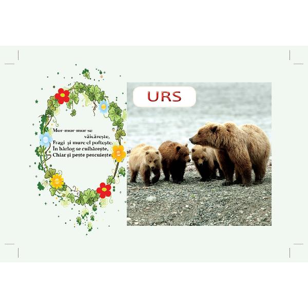 Carticica cartonata PRIMELE GHICITORI CU ANIMALE  SALBATICE este o introducere a copiilor in lumea animalelor prin imagini reale viu colorate insotite de ghicitori frumoase care le vor dezvolta copiilor curiozitatea si gandireaCartea este cartonat&259; plastifiat&259; &537;i lucioas&259; cu marginile rotunjite