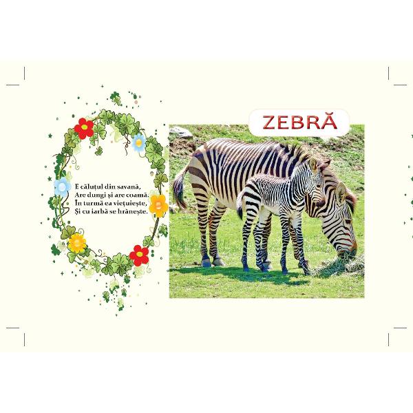 Carticica cartonata PRIMELE GHICITORI CU ANIMALE DIN SAVAN&258; este o introducere a copiilor in lumea animalelor prin imagini reale viu colorate insotite de ghicitori frumoase care le vor dezvolta copiilor curiozitatea si gandireaCartea este cartonat&259; plastifiat&259; &537;i lucioas&259; cu marginile rotunjite