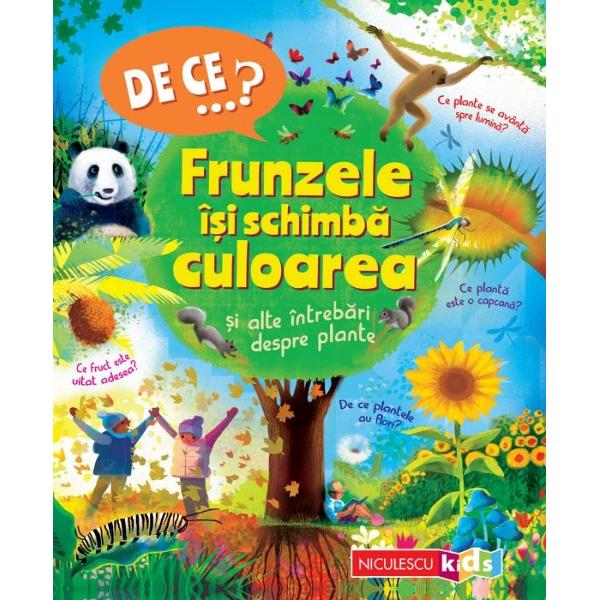 Afl&259; r&259;spunsurile la toate întreb&259;rile pe care &539;i le-ai pus despre plante De ce au copacii frunzeCare este cea mai urât mirositoare floareDe ce în&539;eap&259; urzicile  Descoper&259; mai multe informa&539;ii despre o mare varietate de 