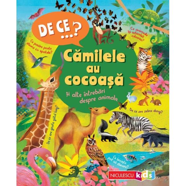 Afl&259; r&259;spunsurile la toate întreb&259;rile pe care &539;i le-ai pus despre animale De ce nu pot pinguinii s&259; zboareCe pe&537;te poate s&259; se ca&539;ere în copaciCât de repede poate s&259; alerge un ghepard  Descoper&259; mai multe 