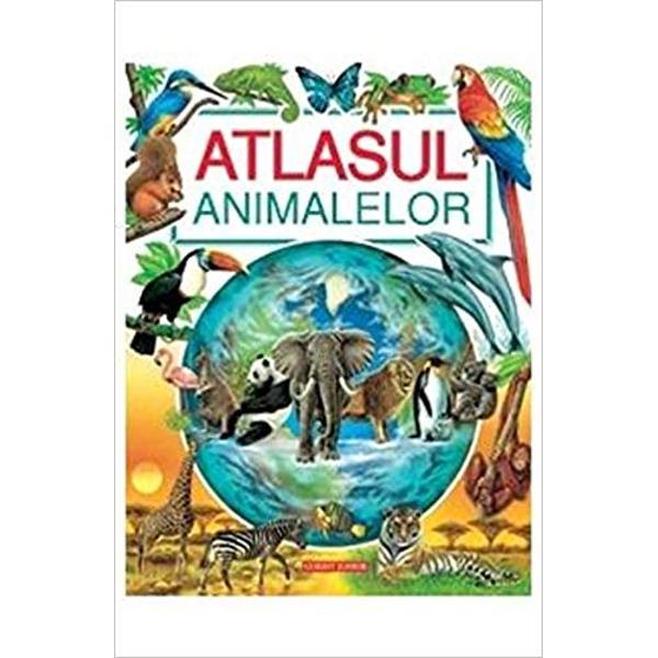 Destinat copiilor din ciclul primar 6-10 ani acest atlas ii va insoti intr-o expeditie de descoperire a animalelor de pe toate continentele lumii De-a lungul a peste 40 de pagini atractiv ilustrate cu texte scurte si simple copiii vor invata sa cunoasca si sa iubeasca animalele alaturi de care traim pe planeta Vor descoperi trasaturile adeseori extraordinare ale diferitelor specii si mai ales si le vor putea imagina in mediul lor natural 