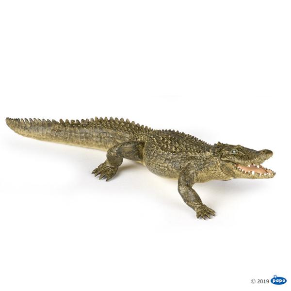 Figurina Papo-Aligator va fascina prin atentia la detalii si fidelitatea reprezentarii realitatii Figurina este  produsa din plastic durabil si are mandibula mobila Cu jucaria Papo-Aligator vei face ziua mai buna colectionarului de figurine si copilului insetat de cunoastereAligatorul este un gen de reptila din familia Alligatoridae ordinul Crocodiliap stylefont-weight 