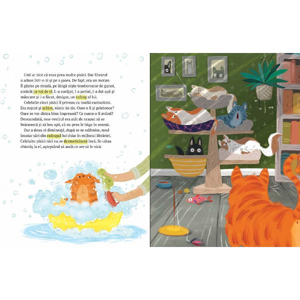 Într-o libr&259;rie minunat&259; locuiesc cinci pisici de care librarul are grij&259; Sunt foarte fericite acolose în&539;eleg perfect &537;i nu duc lips&259; de nimicDar într-o zi librarul g&259;se&537;te lâng&259; tomberoane un motan pr&259;p&259;dit &537;i îl aduce al&259;turi decelelalte cinci Când se întremeaz&259; un pic motanul cel nou începe s&259; fac&259; ni&537;te mofturi de 