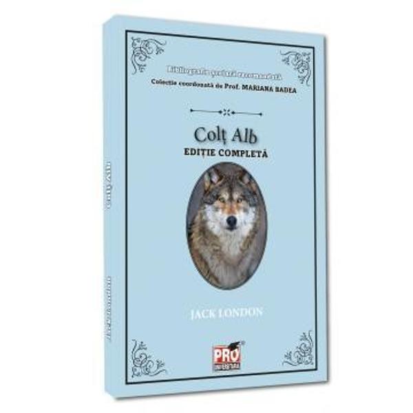 Roman de aventuri scris in 1906 Colt Alb urmareste viata lupului Colt Alb de la nasterea sa in apropierea unui sat indian pana la mutarea sa in San Francisco si nasterea propriilor puiAventurile care ii modeleaza felul de a fi incep in tabara indienilor de pe fluviul Mackenzie Drumul lui Colt Alb parcurge mai multe etape este caine de sanie al unui indian dupa despartirea dureroasa de mama sa apoi caine de lupta al unui om crud pentru ca in final sa ajunga alaturi de un om 