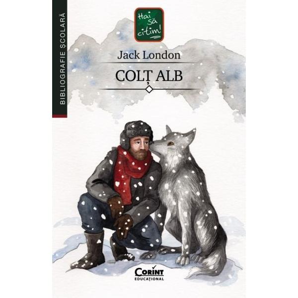 Romanul „Col&539; Alb” scris de Jack London &537;i publicat în 1906 surprinde cu for&539;&259; &537;i sensibilitate drumul anevoios al transform&259;rii – de la instinct la încredere de la brutalitate la afec&539;iuneJack London creeaz&259; un personaj memorabil o fiin&539;&259; pe jum&259;tate lup pe jum&259;tate câine a c&259;rei via&539;&259; este marcat&259; de foamete pericol lupt&259; &537;i suferin&539;&259; 