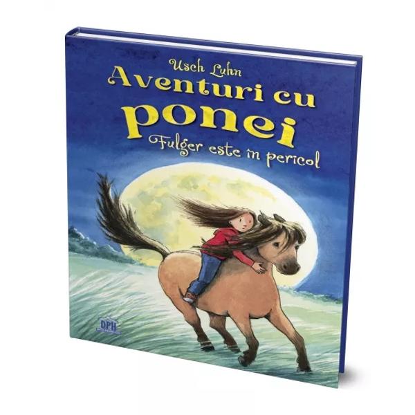 Ana are un secret pe care nu-l poate spune nim&259;nui în adâncul p&259;durii o a&537;teapt&259; Fulger un ponei s&259;lbatic cu care a legat o prietenie magic&259; Împreun&259; alearg&259; liberi cu viteza vântului — pân&259; când un pericol nea&537;teptat le tulbur&259; lini&537;tea Braconierii î&537;i fac apari&539;ia iar Ana trebuie s&259; g&259;seasc&259; o cale de a-l proteja pe Fulger f&259;r&259; ca cineva 