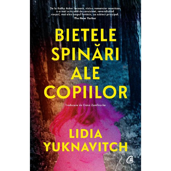 &206;n toiul unui r&259;zboi din Europa de Est o familie &238;ncearc&259; s&259; scape de suflul unei explozii Fotografa care surprinde momentul &238;n care o feti&539;&259; r&259;m&226;ne singura supravie&539;uitoare din familia ei st&226;rne&537;te rumoare &537;i suscit&259; interesul mai multor arti&537;ti cunosc&226;nd apoi celebritatea pentru imaginea ei Cartea Lidiei Yuknavitch exploreaz&259; leg&259;tura invizibil&259; dintre arte &537;i etic&259; 