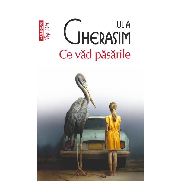 „Iulia Gherasim creeaz&259; un realism feminin de familie dincolo de moda &351;i temele predilecte ale momentului Indiferent dac&259; evoc&259; atmosfera de noutate &351;i nesiguran&355;&259; a anilor ’90 etosul corporatist stilul de via&355;&259; provoc&259;rile &351;i anxiet&259;&355;ile femeii din clasa de mijloc a acestor vremuri o face cu o naturale&355;e o inteligen&355;&259; &351;i un umor remarcabile cu aten&355;ie la detalii &351;i o art&259; a 