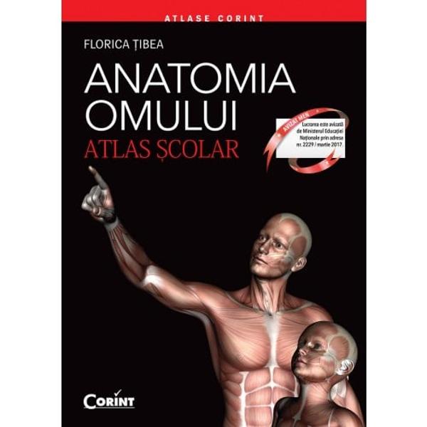 Incadrata in seria atlaselor scolare lucrarea de fata ANATOMIA OMULUI ATLAS SCOLAR pune la dispozitia elevilor profesorilor cat si a altor categorii de cititori interesati un instrument de cunoastere aprofundare si consolidare a cunostintelor intr-un domeniu de mare si firesc interes cum este cel al biologiei Lucrarea se remarca prin modul de prezentare a structurilor interne si externe ale diverselor organe si sisteme ce alcatuiesc corpul uman pornind de la celula 