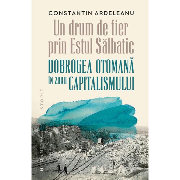 In anii 1830 Dobrogea era aproape necunoscuta lumii occidentale Calatorii straini o descriau drept o campie nepopulata si saracaZona periferica a Imperiului Otoman Dobrogea a capatat o mai mare importanta strategica dupa ce Rusia a ajuns la Gurile Dunarii preluand astfel controlul asupra liberei navigatii Inginerii negustorii si diplomatii europeni au propus constructia unui canal sau a unei linii ferate care 