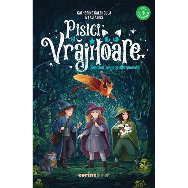 Pentru Rose e prima zi de &537;coal&259; &ndash; &537;i ce mai ziC&259;ci a fost acceptat&259; la faimoasa &537;coal&259; de magie din Avalon unde fiec&259;rui elev &icirc;i este atribuit&259; o Pisic&259;-Vr&259;jitoare cu mult&259; experien&539;&259; c&259;reia &icirc;i revine sarcina de a-l ghida pe m&259;sur&259; ce deprinde tainele vr&259;jitoriei&Icirc;ns&259; Flac&259;r&259; Pisica-Vr&259;jitoare a lui Rose &icirc;&537;i ia 