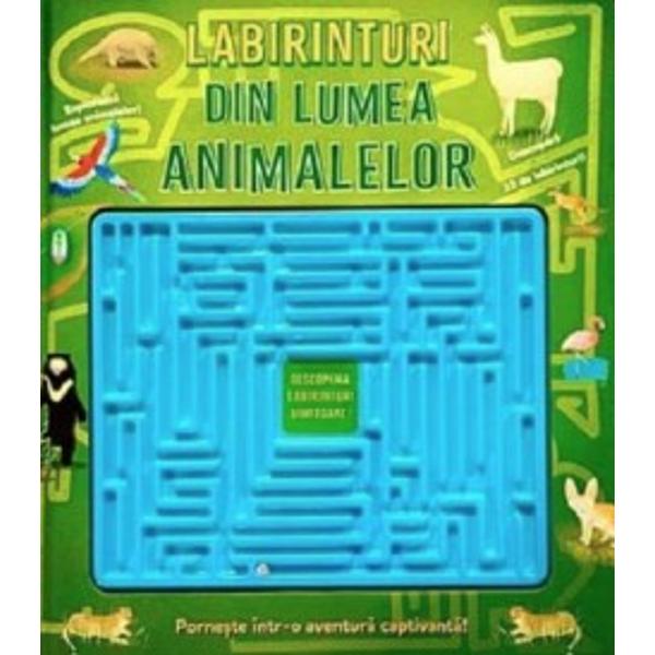 Jucarie reala labirint cu bila metalica&nbsp;