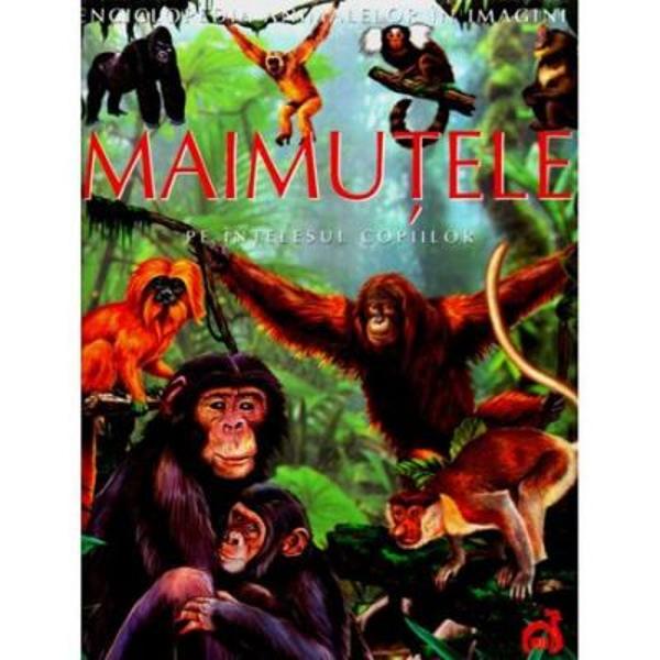 Maimutele