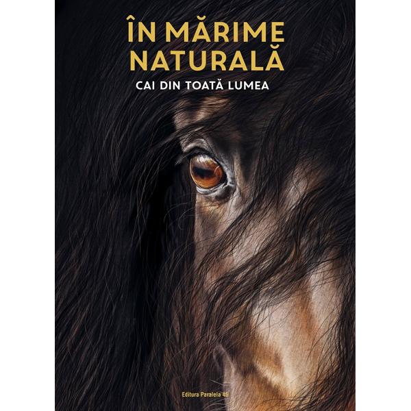 &538;i&8209;ar pl&259;cea s&259; stai fa&539;&259; &icirc;n fa&539;&259; cu un cal uria&537; din rasa Shire S&259; prive&537;ti ad&acirc;nc &icirc;n ochii unui Purs&acirc;nge Arab Sau s&259; m&acirc;ng&acirc;i botul moale al unui ponei de Shetland dr&259;g&259;la&537; Nu to&539;i cei care iubesc caii au &537;ansa de a fi at&acirc;t de aproape de ei &Icirc;ns&259; &icirc;n paginile acestei c&259;r&539;i animalele ne privesc drept &icirc;n ochi Mai mult ele sunt 