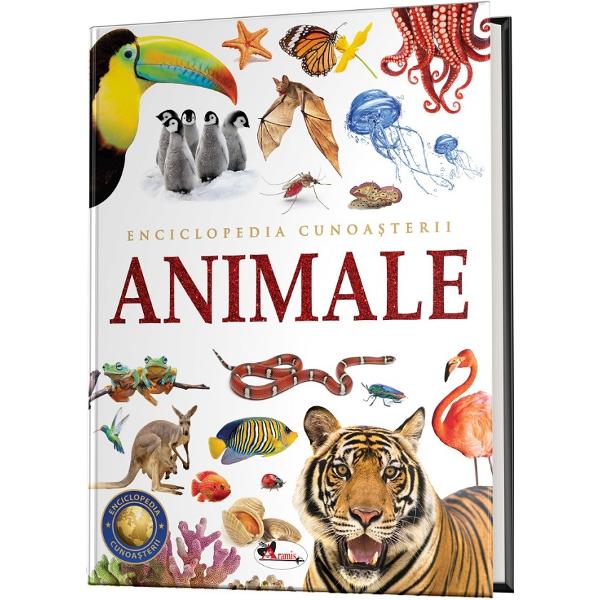 Care au fost primele animale de pe Pamant Ce diferente exista intre reptile si amfibieni Ce sunt mamiferele Cu ce se hranesc insecteleEnciclopedia &bdquo;Animale&rdquo; iti va raspunde la aceste intrebari si la multe altele Lectura dar si invatarea vor fi mai atractive cu ajutorul imaginilor a diagramelor si a dictionarului care iti ofera definitii ale unor termeni cu care nu esti familiarizat De asemenea sectiunea &bdquo;Este uimitor&rdquo; prezinta fapte amuzante 