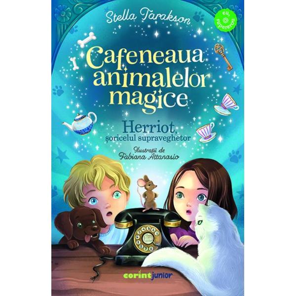 Ellie&nbsp;&537;i mama ei se mut&259; &icirc;n alt ora&537; unde au mo&537;tenit o cas&259; veche pe care vor s&259; o transforme &icirc;ntr-o&nbsp;cafenea cu pisici&nbsp;Blake&nbsp;&537;i familia lui sunt noii lor chiria&537;i &icirc;ns&259; Ellie nu dore&537;te s&259;-&537;i &icirc;mpart&259; spa&539;iul cu nimeni cu at&acirc;t mai pu&539;in cu cei din familia Anderson &Icirc;n subsolul ponosit al casei Ellie &537;i Blake descoper&259; din 