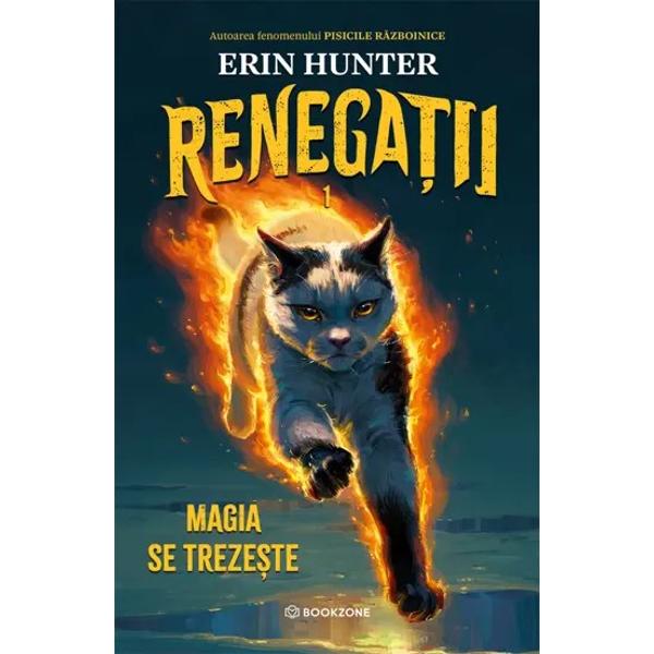 Magia nu se treze&537;te pentru to&539;i Doar pentru cei care &icirc;ndr&259;znesc s&259; o asculte&nbsp;Luna &537;i Salcia sunt dou&259; surori pisici r&259;mase singure &icirc;n inima unui ora&537; nemilos dup&259; ce mama lor a fost ucis&259; C&acirc;nd un incendiu misterios le distruge ultimul ad&259;post descoper&259; o lume secret&259; ascuns&259; printre str&259;zi &537;i parcuri animale &icirc;n armonie cu natura care vorbesc canalizeaz&259; 